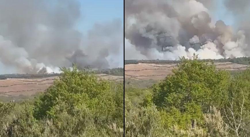 Beykoz'da orman yangını! Havadan ve karadan müdahale başladı