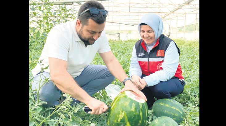 Sezonun ilk karpuzları tezgahta