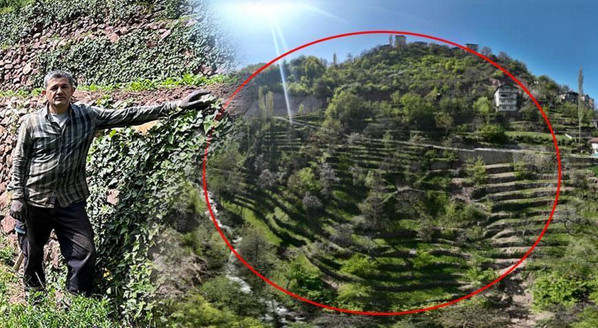 2 dönümle başladı, 8 dönüme ulaştı! Koydukları her taş servete dönüştü: ‘Hem kendimiz hem de ülke kazanır’