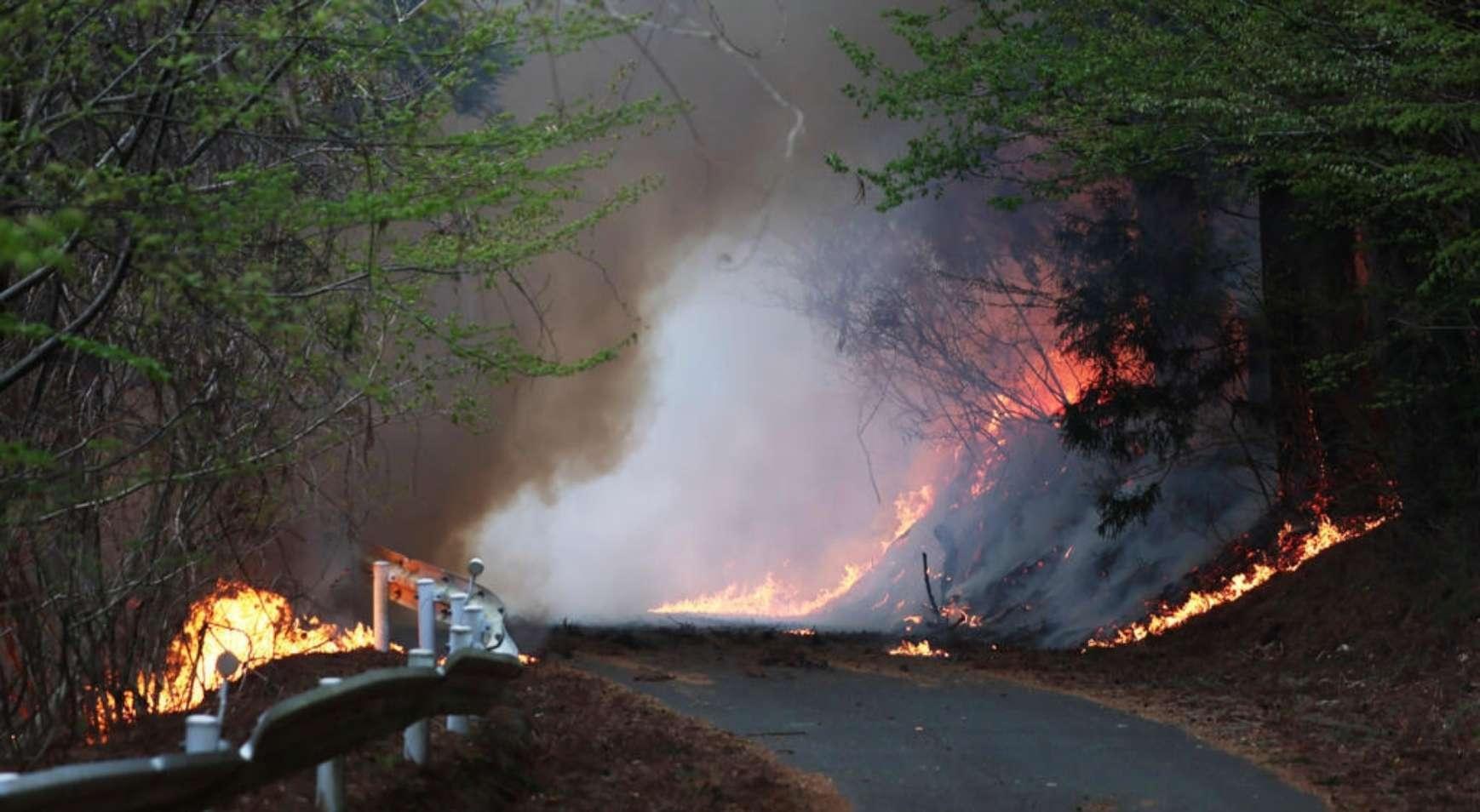 Japonya'da 6 günlük kabus! Aleveler durdurulamıyor, ordu devreye girdi