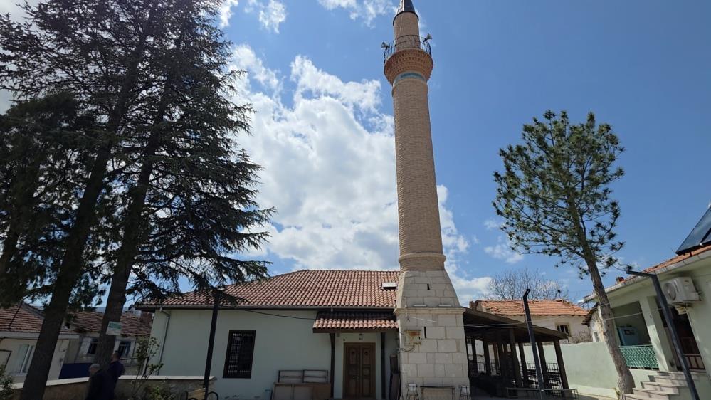 ANKARADA TİTİZ KONSERVASYON SÜRECİ