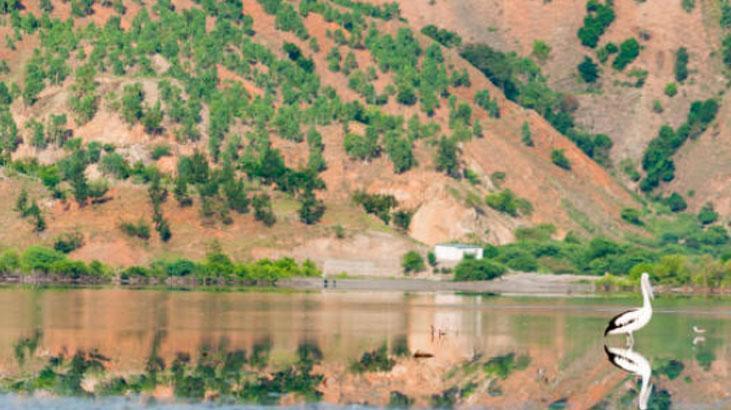 Bir köyü komple yok etti, canlı sinek bile yok 1800 kişiyi öldüren facia