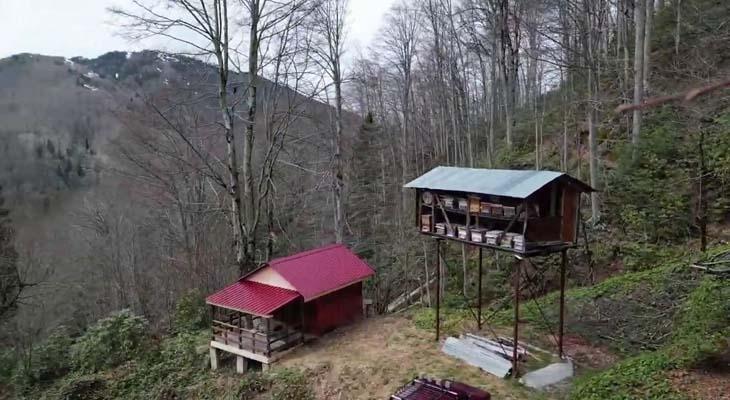 Yer: Rize Defalarca denedi başarılı olamadı: ‘10 gündür ara ara ziyaret ediyor’