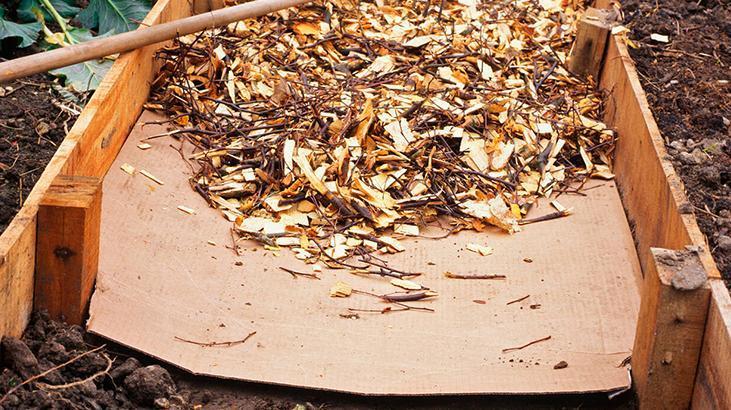 Bir karton parçası bütün bahçeye yetiyor Yabani otlarla mücadele etmek zor değil