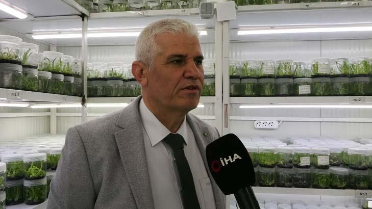 AKZAMBAK ÜRETİMİ 6 AYLIK SÜREÇTE TAMAMLANIYOR