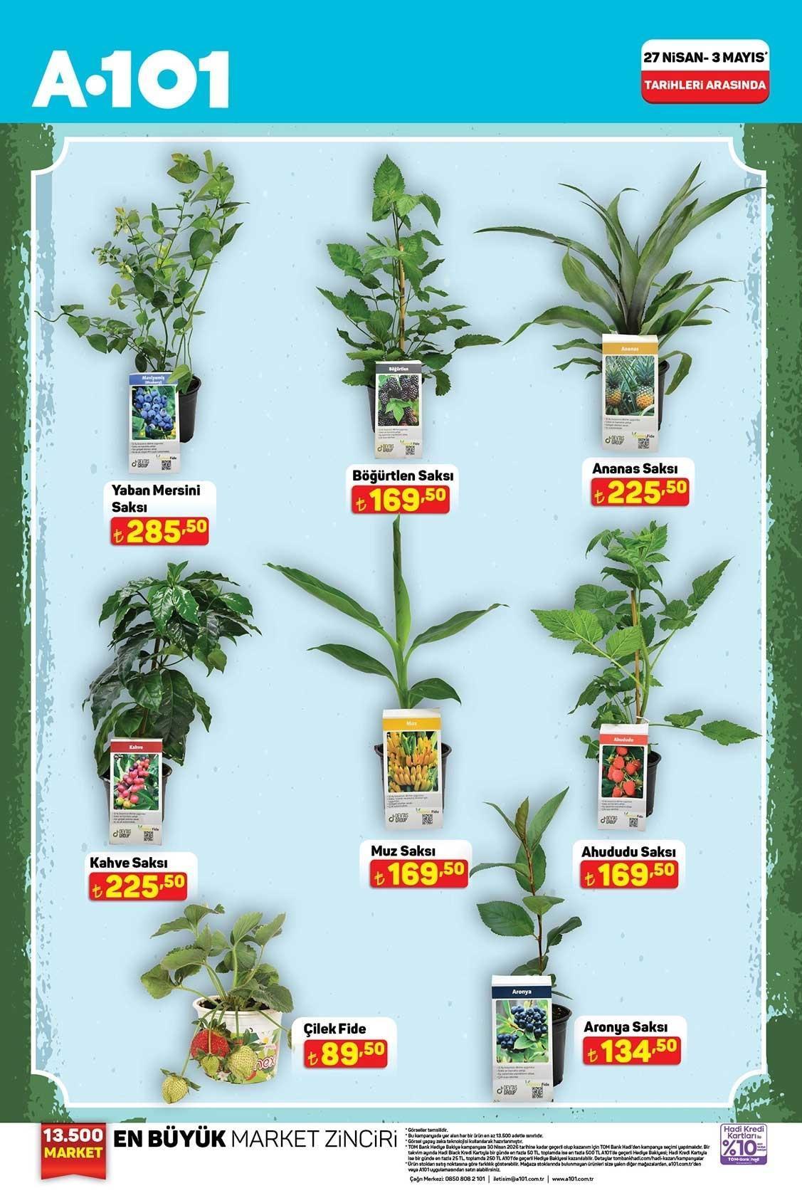 27 NİSAN-3 MAYIS TARİHLERİ ARASINDA