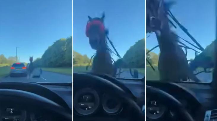 Kontrolden çıkan at ortalığı birbirine kattı! Lüks otomobile çarpıp camları tuzla buz etti!
