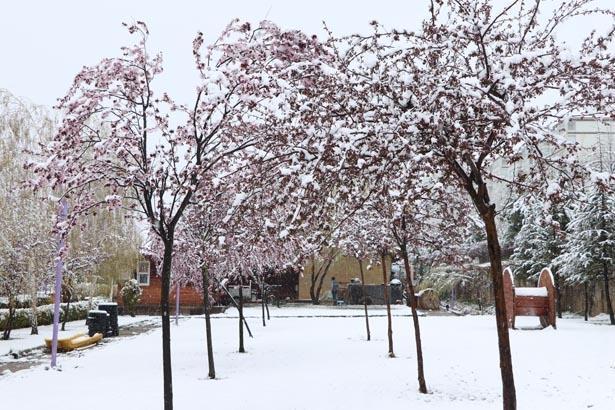 Fotoğraflar bugün çekildi Mayıs ayında kar sürprizi... Kent merkezi bembeyaz