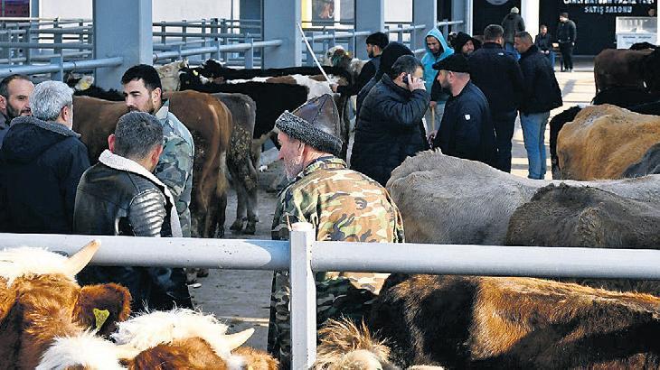Kurbanlık fiyatı 25 bin liradan başlıyor