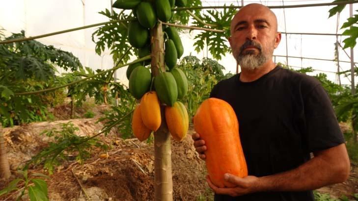 ‘KİLOGRAM FİYATI 80 İLA 90 TL ARASINDA DEĞİŞİYOR’