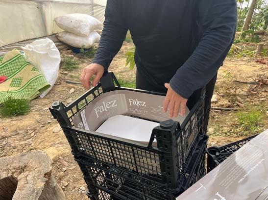 Evlenip Antalya’ya yerleşti, hayatı değişti Dalında olgunlaşıyor, özel kılıflarla toplanıyor: Kilosu 90 TL