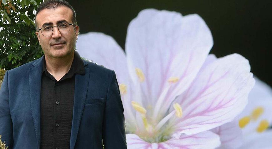 Türkiye'de sadece iki küçük noktada yetişiyor! Şaşırtan keşif: 'Kritik tehlike altında'