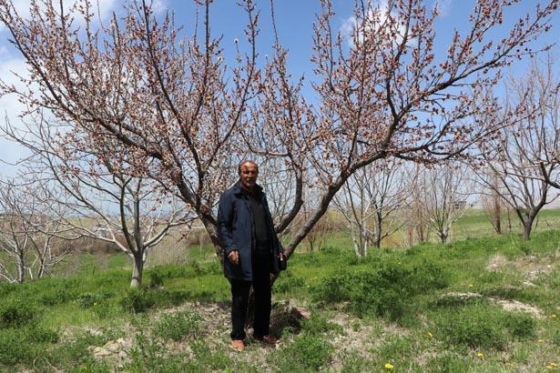 Herkes deli diye yorumladı, umursamadı: 40 dakikalık yolu 40 saniyeye indirdi