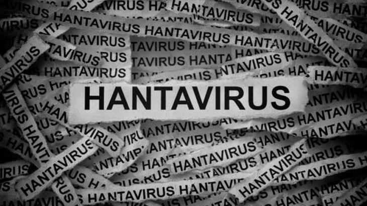 HANTAVİRÜS BELİRTİLERİ NELERDİR HANTAVİRÜS BELİRTİLERİ NELERDİR