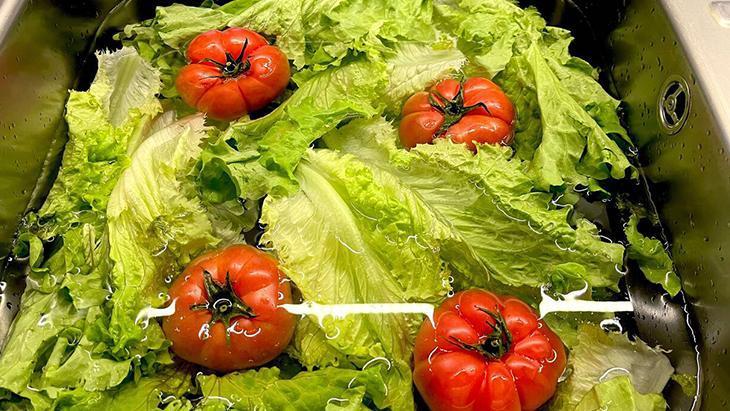Tek başına yaşayanlar daha mı sağlıklı Hem cebinizden hem de zamandan tasarruf edin