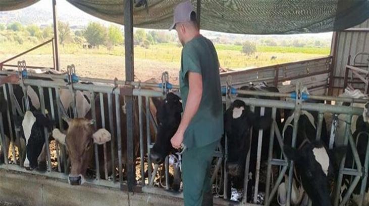 Aydın’da 17 mahallede karantina tedbirleri alındı! Hayvan giriş çıkışı yasak