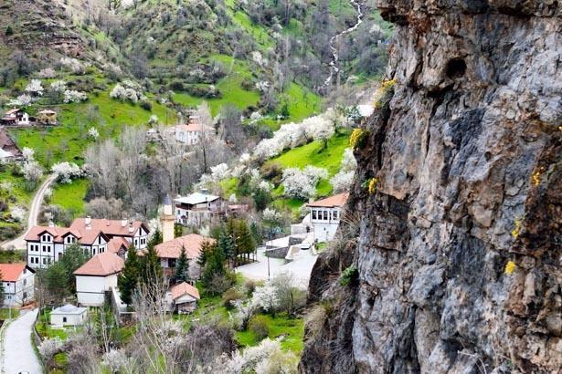 Gümüşhanede taşı delip ortaya çıktı Görüntülemek için koştular