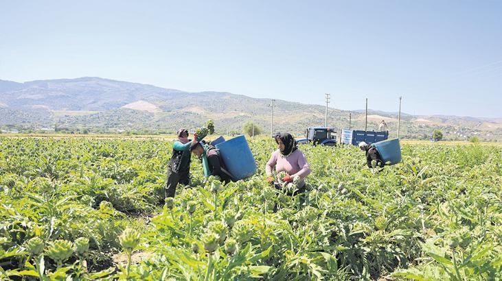 Suyu verimli kullanan tarımda kazanacak