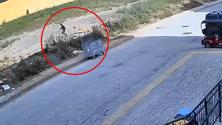 7 yaşındaki Yiğit’in korku dolu anları kamerada! Sokak köpekleri kovaladı: Geceleri ağlayarak uyanıyor