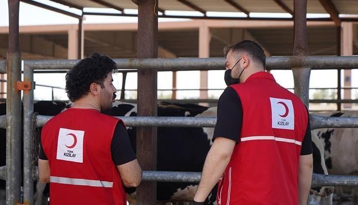 KIZILAY KURBANLIK BAĞIŞ FİYATLARI LİSTESİ 2026