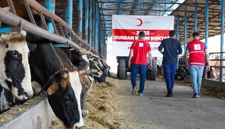 KIZILAY KURBANLIK BAĞIŞ FİYATLARI 2026