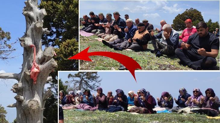 Dağın zirvesinde ilginç buluşma! Sebebi yüzyıllardır aynı: Ciğerleri ağaca asılır