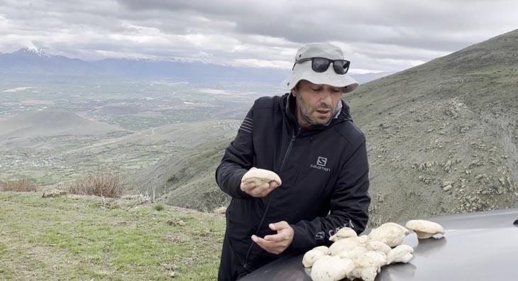 Fiyatı altınla yarışıyor 4 saatlik yürüyüşün sonu servet değerinde Fiyatı altınla yarışıyor 4 saatlik yürüyüşün sonu servet değerinde