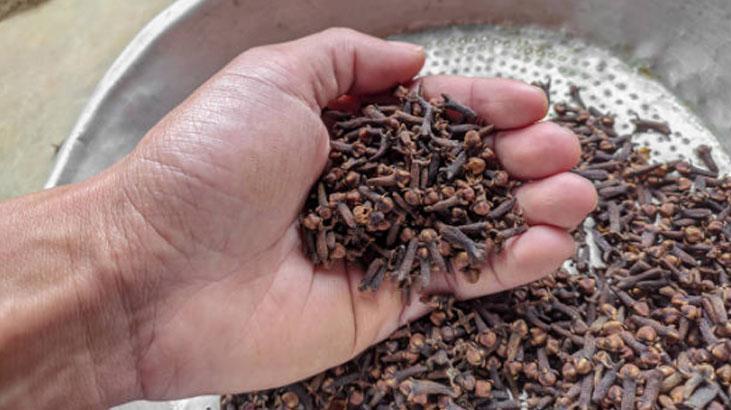 Doğal kaş boyası arayanlara müjde Cepte bile taşınıyor, gürleştiren baharat