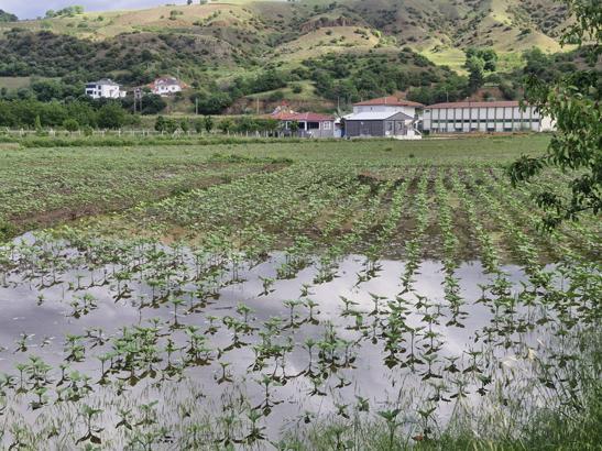 Tokat, Kastamonu ve Amasyada sağanak yağış hayatı felç etti Sel riski nedeniyle eğitime ara verildi, evler tahliye edildi
