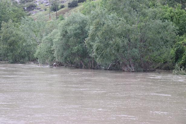 Tokat, Kastamonu ve Amasyada sağanak yağış hayatı felç etti Sel riski nedeniyle eğitime ara verildi, evler tahliye edildi