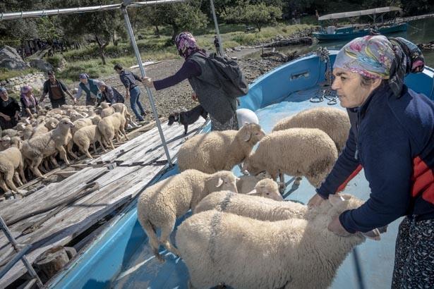 BURADA KEÇİLERİMİZLE, İNEKLERİMİZLE YAŞAM SÜRÜYORUZ