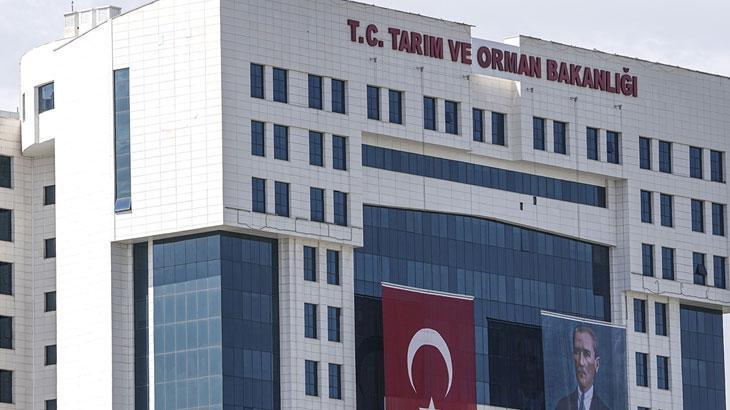 UNVANLARA GÖRE ÖZEL BAŞVURU ŞARTLARI VE KPSS TABAN PUANLARI
