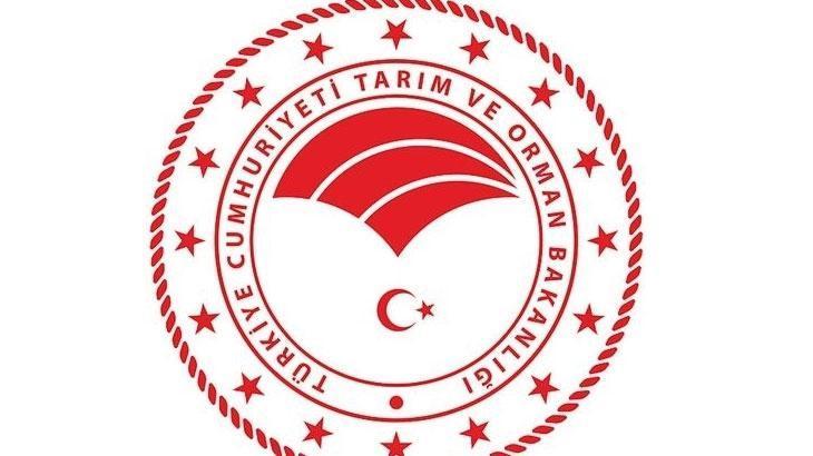 Tekniker ve Orman Muhafaza Memuru Pozisyonları İçin: