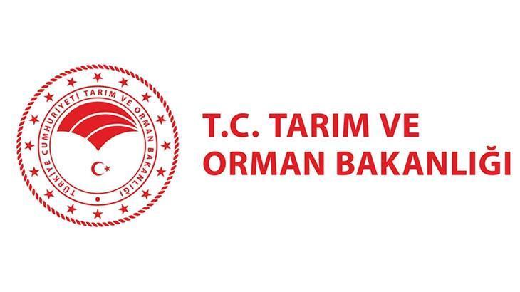 DKMP SÖZLEŞMELİ PERSONEL ALIMI GENEL BAŞVURU ŞARTLARI NELERDİR
