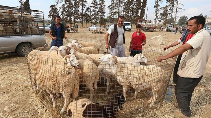 KURBAN KESERKEN NELERE DİKKAT EDİLMELİDİR