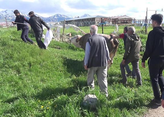 Kurban kesimi faciaya döndü! Kalp krizi geçiren 2 kişi hayatını kaybetti