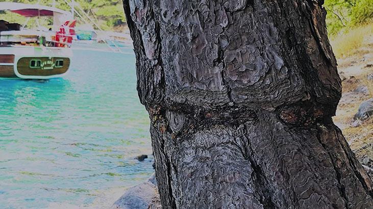 Bakan Kurum, Mapa Şamandıra Projesine ilişkin görüntüleri paylaştı
