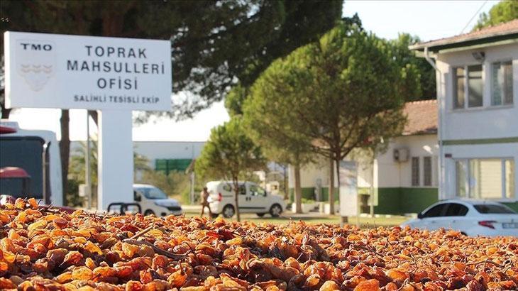 TMO BUĞDAY VE ARPA FİYATLARI NE KADAR