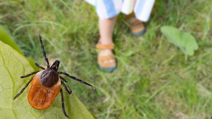 Açık alanlarda koruyucu kıyafet giyin
