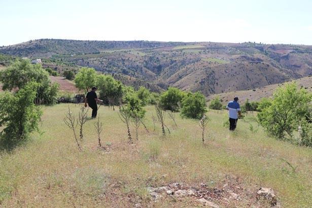 PEŞİNDE OLDUĞUMUZU BİLDİĞİ İÇİN KÖY ÇEVRESİNE YAKLAŞMIYOR