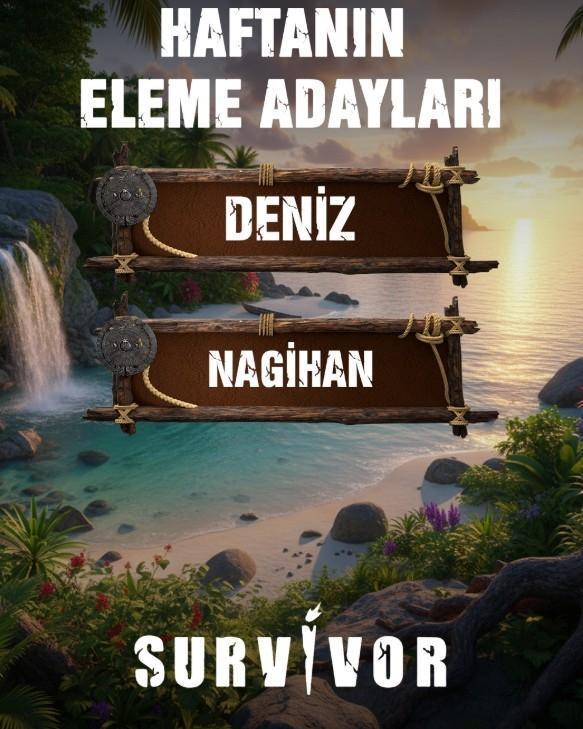 SURVİVOR ELEME POTASI