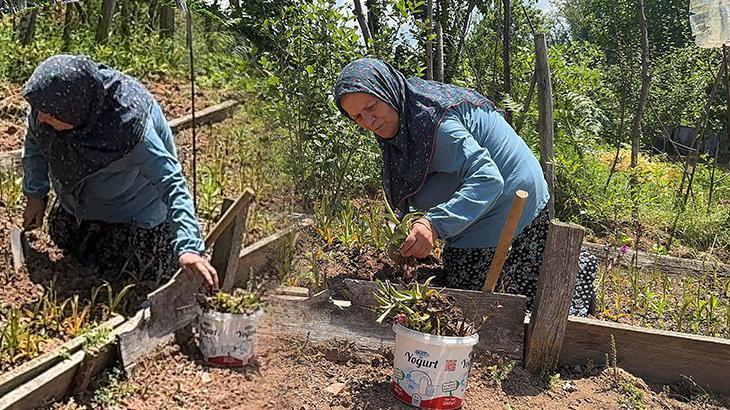 Sosyal medyada gezerken hayatının fırsatını yakaladı: Özel izin aldı, köyüne döndü! Fiyatı altınla yarışıyor