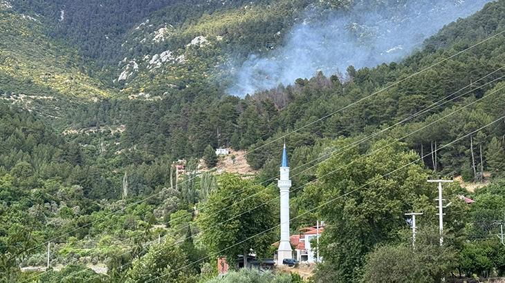 Antalya Kaş'ta orman yangını! Havadan karadan müdahale