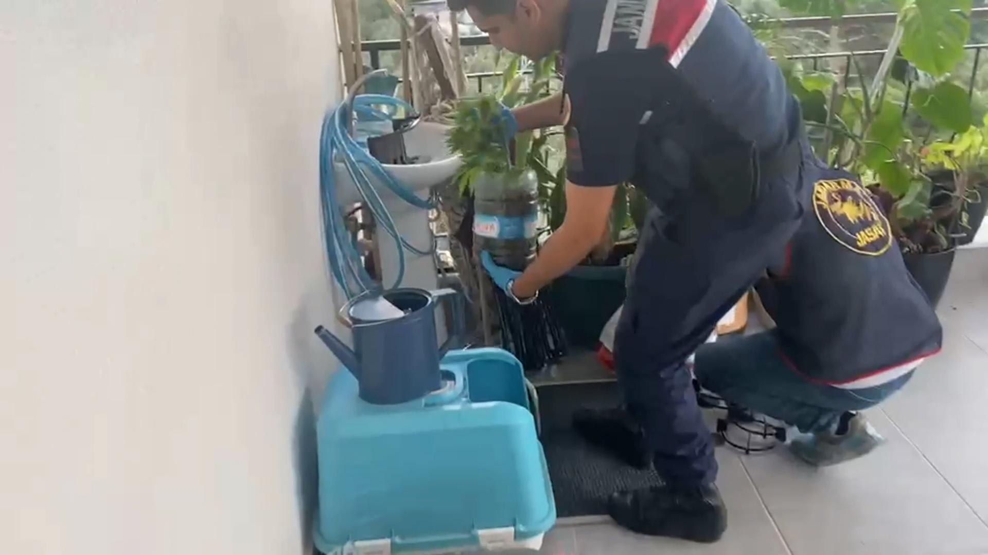 Jandarmadan zehir tacirlerine darbe! 5 ilde 'uyuşturucu' operasyonu: 341 gözaltı