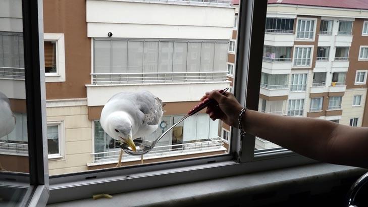 ONUNLA DOST OLDUK’