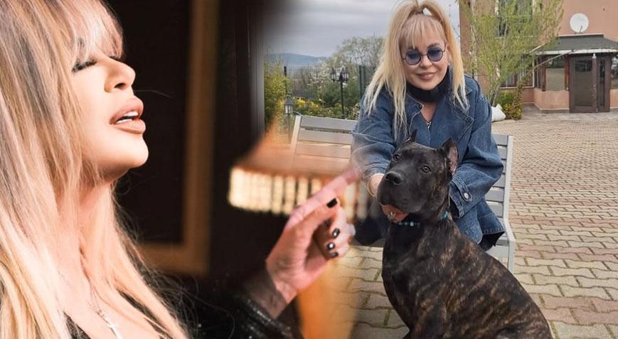 Zerrin Özer 50. sanat yılında sahneye çıktı Sağlık durumu hakkında açıklama