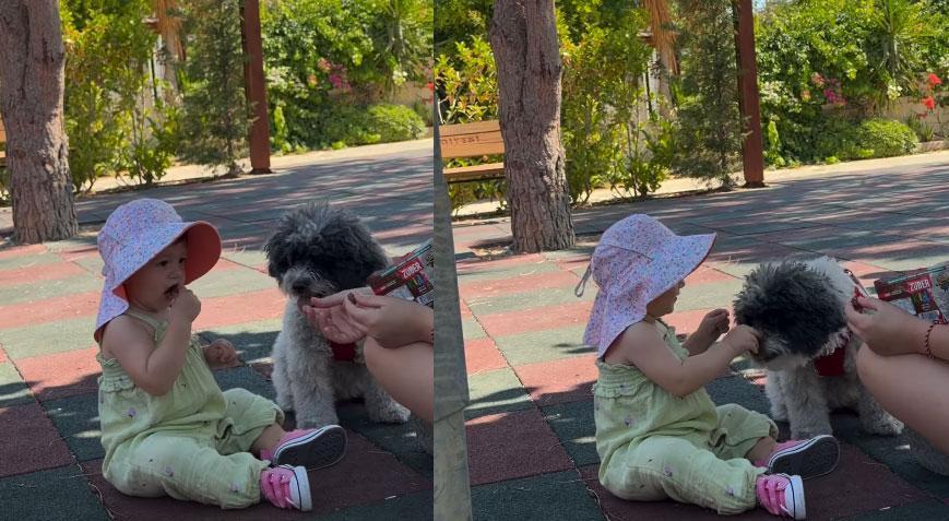 Gizem Karaca, kızı Yazın köpekle yiyecek paylaşma anlarını paylaştı
