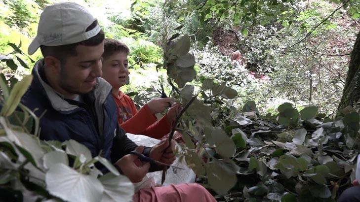 Kilosu bu yıl tam 3 bin lira oldu Hasat eden paraya para demiyor: 40 yıldır bu işi yapıyorum