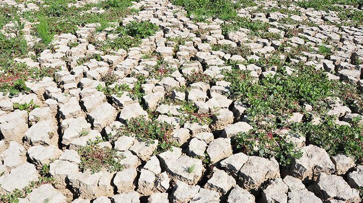 Marmara Gölünden sevindiren gelişme 4 yıl sonra dolmaya başladı