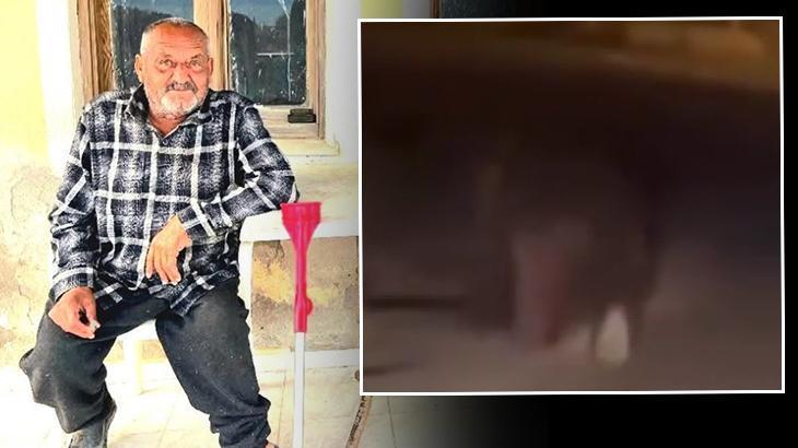 Balkondan alıp 20 metre sürükledi! İzmir'de ayı dehşeti... Yaşlı adam hayatını kaybetti